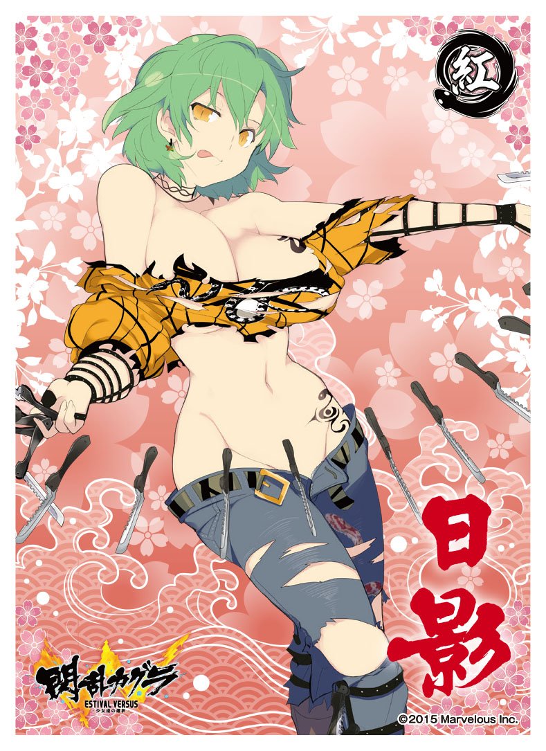 Amazon.co.jp: キャラクタースリーブ 『閃乱カグラ ESTIVAL VERSUS